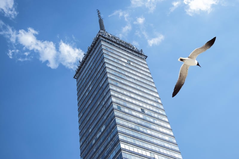 Latin American Cuisine